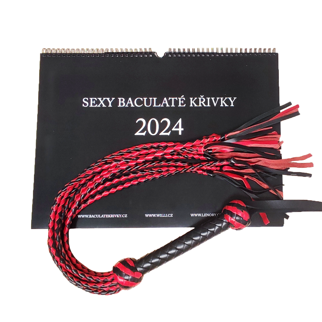 Willi Nástěnný kalendář Sexy baculaté křivky 2024