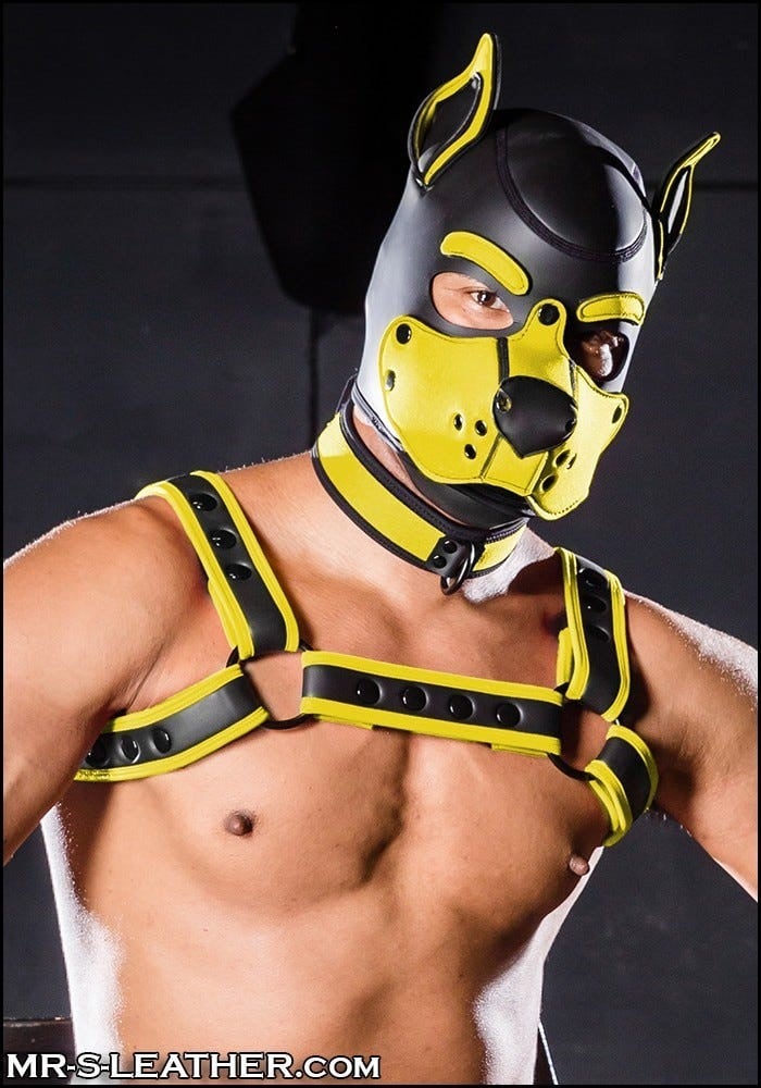 Psí maska Mr. S Leather Neoprene K9 Hood žlutá Large, neoprenová psí kukla pro puppy play
