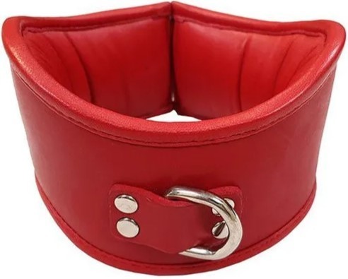 Leather Posture Collar