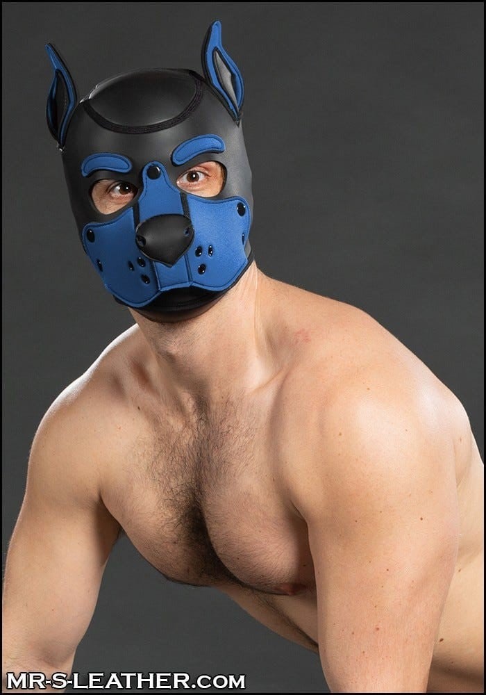 Psí maska Mr. S Leather Neoprene K9 Hood modrá (Cobalt) Medium, neoprenová psí kukla pro puppy play