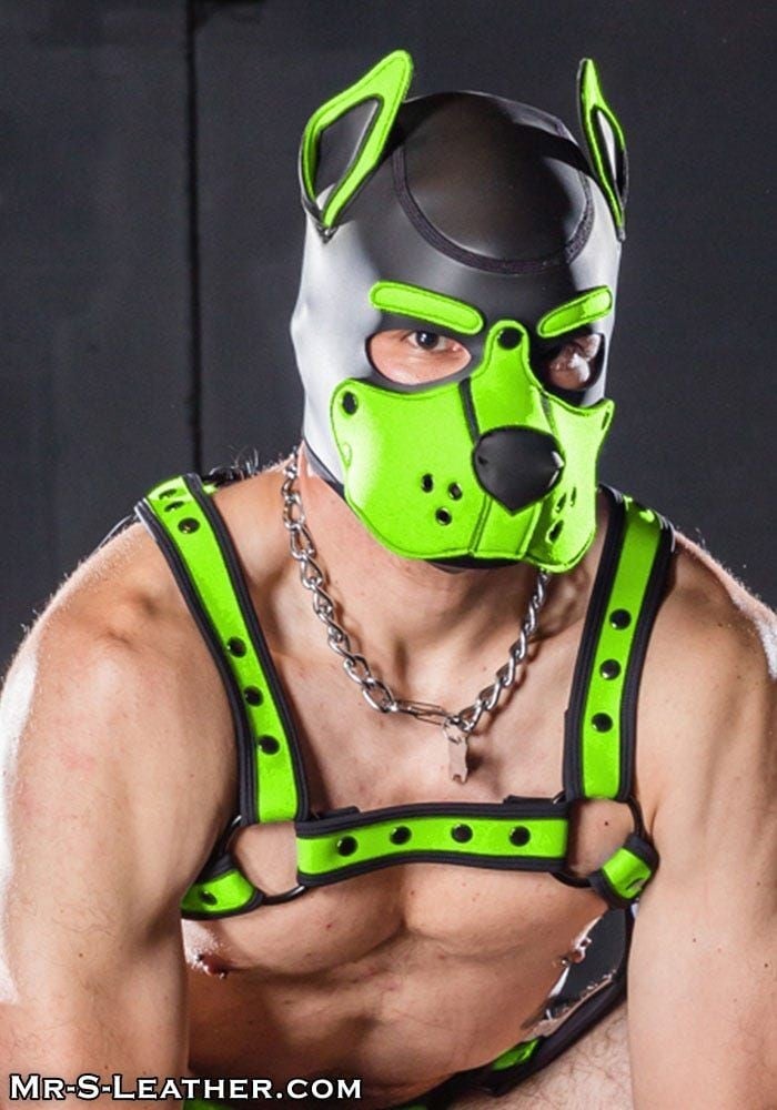 Psí maska Mr. S Leather Neoprene K9 Hood limetková Large, neoprenová psí kukla pro puppy play