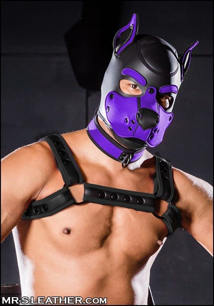 Psí maska Mr. S Leather Neoprene K9 Hood fialová Large, neoprenová psí kukla pro puppy play