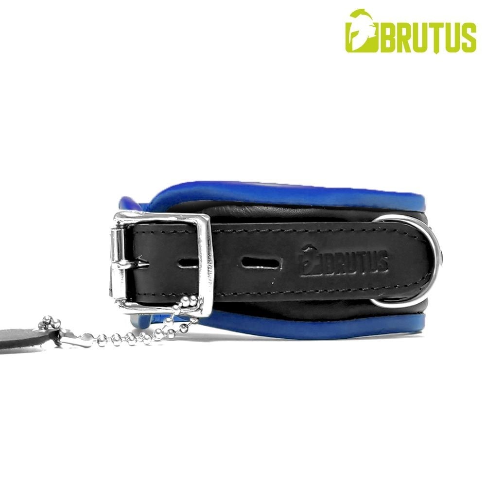 Brutus Leather Collar Black/Blue, kožený obojek s měkkým polstrováním a zamykací přezkou