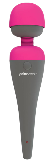 Palmpower Personal Massager