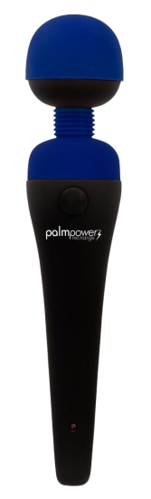 PalmPover recharge blue