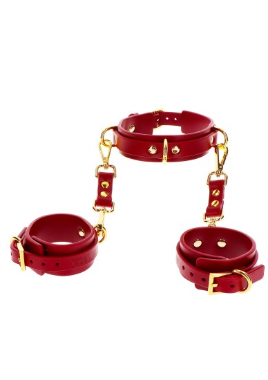 Taboom Bondage in Luxury D Ring Collar and Wrist Cuffs Red