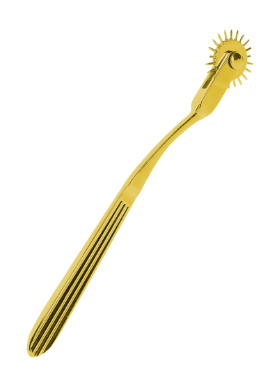 Taboom Warterberg Wheel Gold