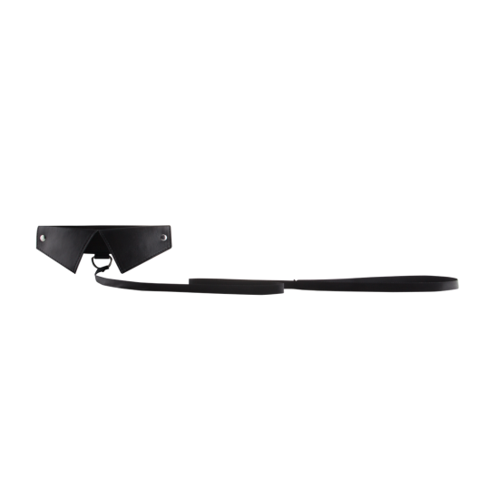 Ouch Exclusive Collar & Leash