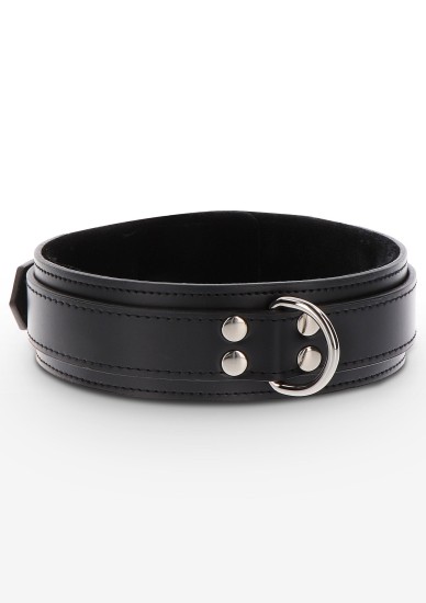 Taboom Heavy D Ring Collar
